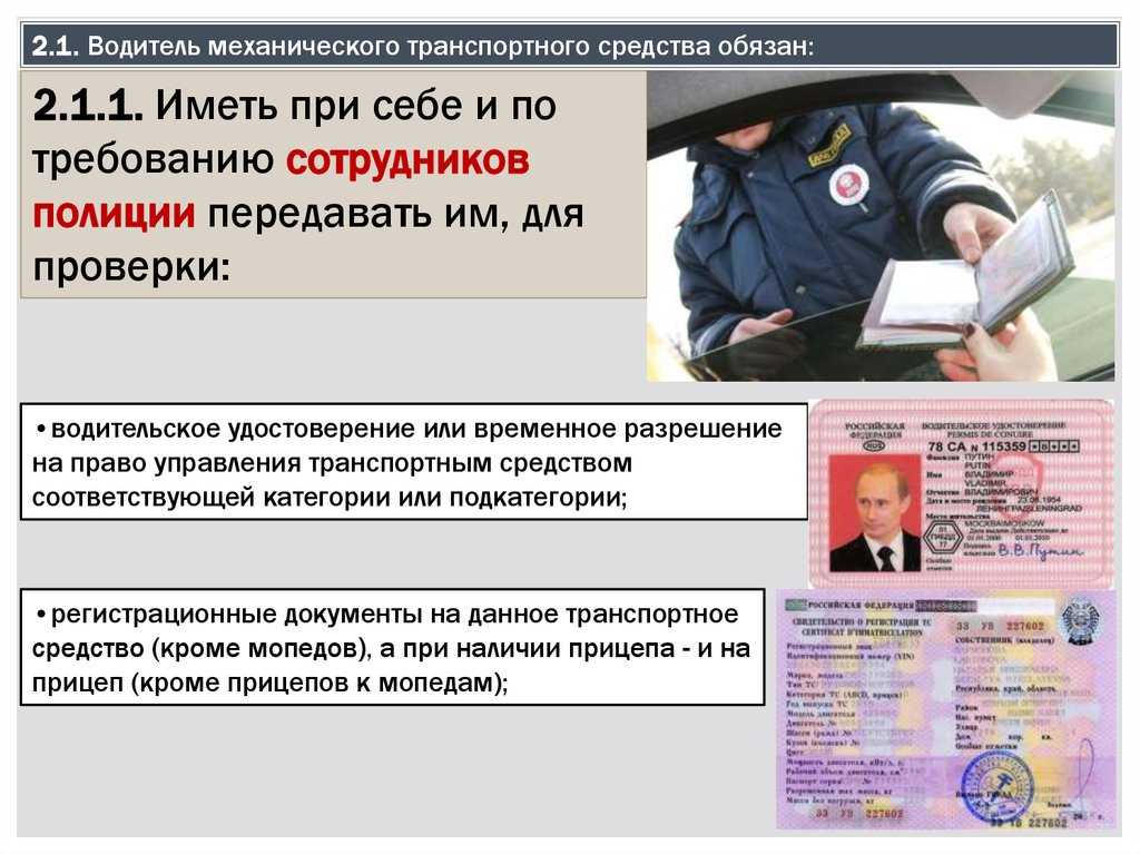 История госавтоинспекции россии - сюжеты - lidernews