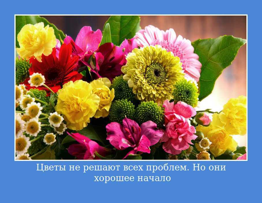 Какие цветы символизируют одиночество: их значения и использование