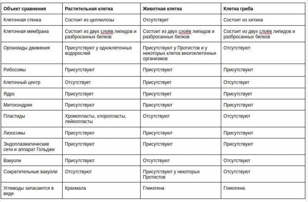 Чем отличается киш и уг-глук из "сказания о кише"