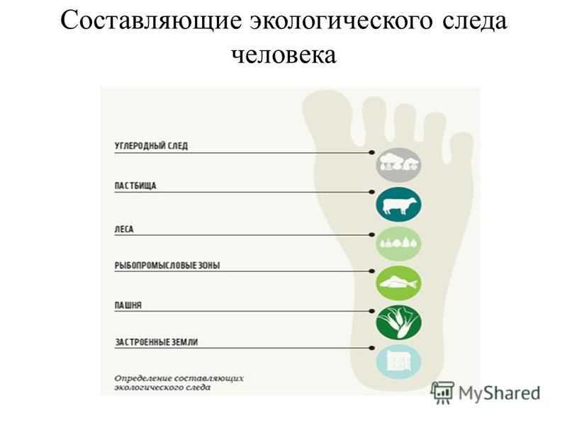 Что такое осознанное потребление и почему о нём нужно задуматься каждому [разбор]