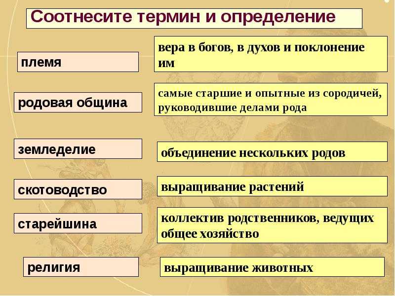 Типы семей - характеристика, отличительные признаки, виды