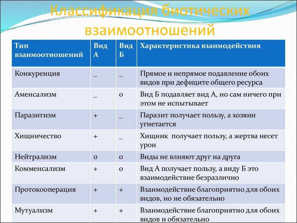 Европейская лань: фото, описание, образ жизни и среда обитания - truehunter.ru