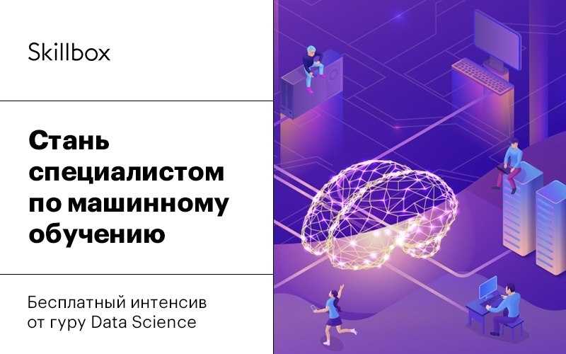 Как порядок рождения детей в семье влияет на развитие их личности