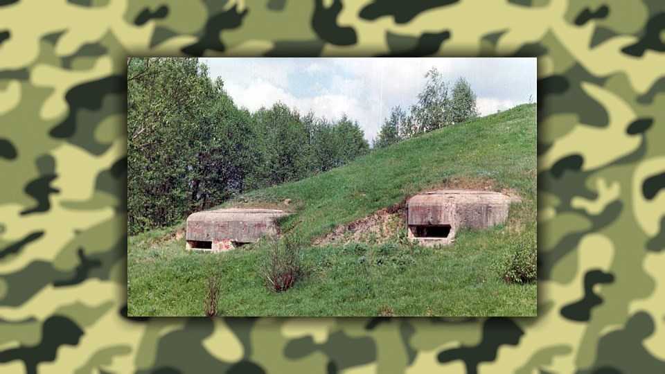 Дзот и дот: какой выбрать и в чем разница?