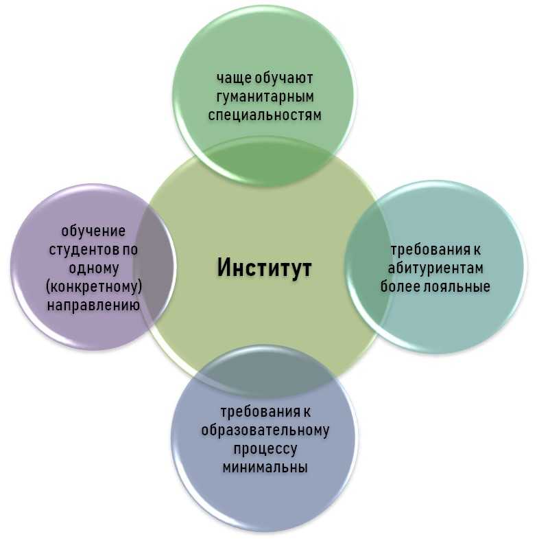 Вуз или колледж после 9 и 11 классов: что выбрать, высшее или среднее специальное образование? | сила лиса