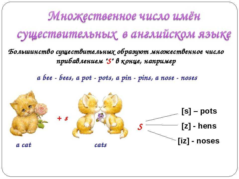 Tooth как пишется во множественном числе