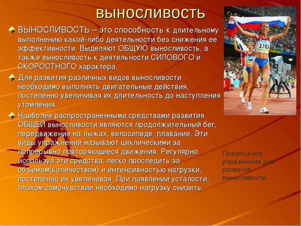 Как перевести метры в футы длины