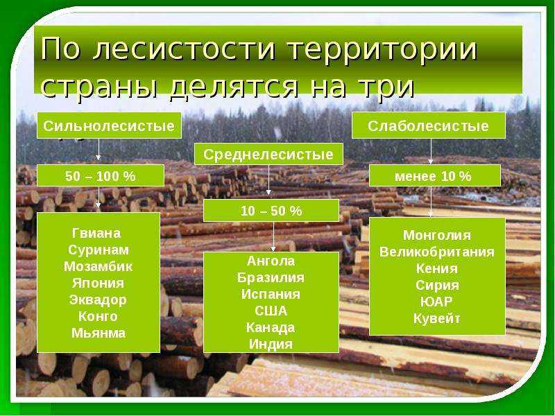 Бревно или брус: что лучше? |