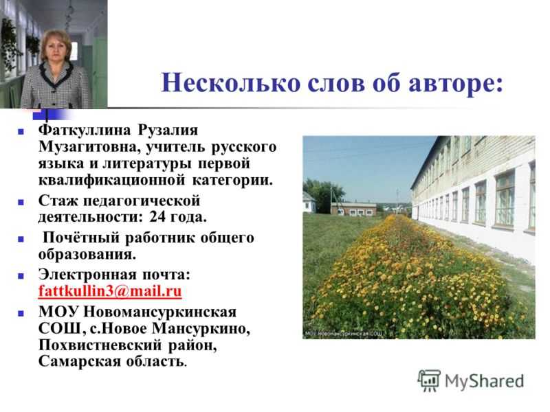 Система образования это