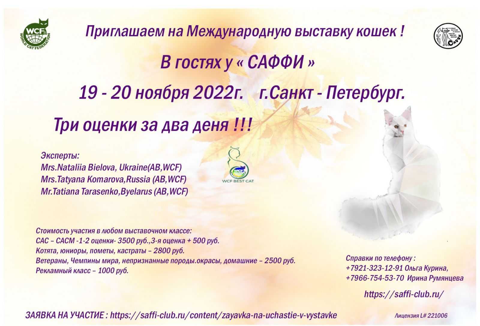 Выставка кошек в саратове 2023: программа, участники, билеты | саратовская выставочная площадка