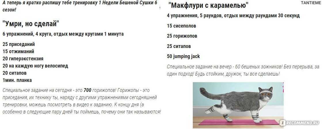 Проект бешеная сушка. игра на похудение. правила, упражнения и питание