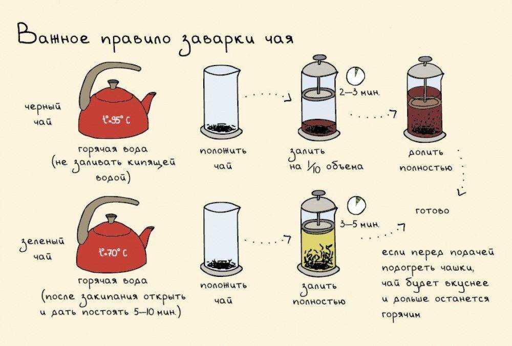 Как правильно заваривать и пить чай - черный, зеленый, пуэр