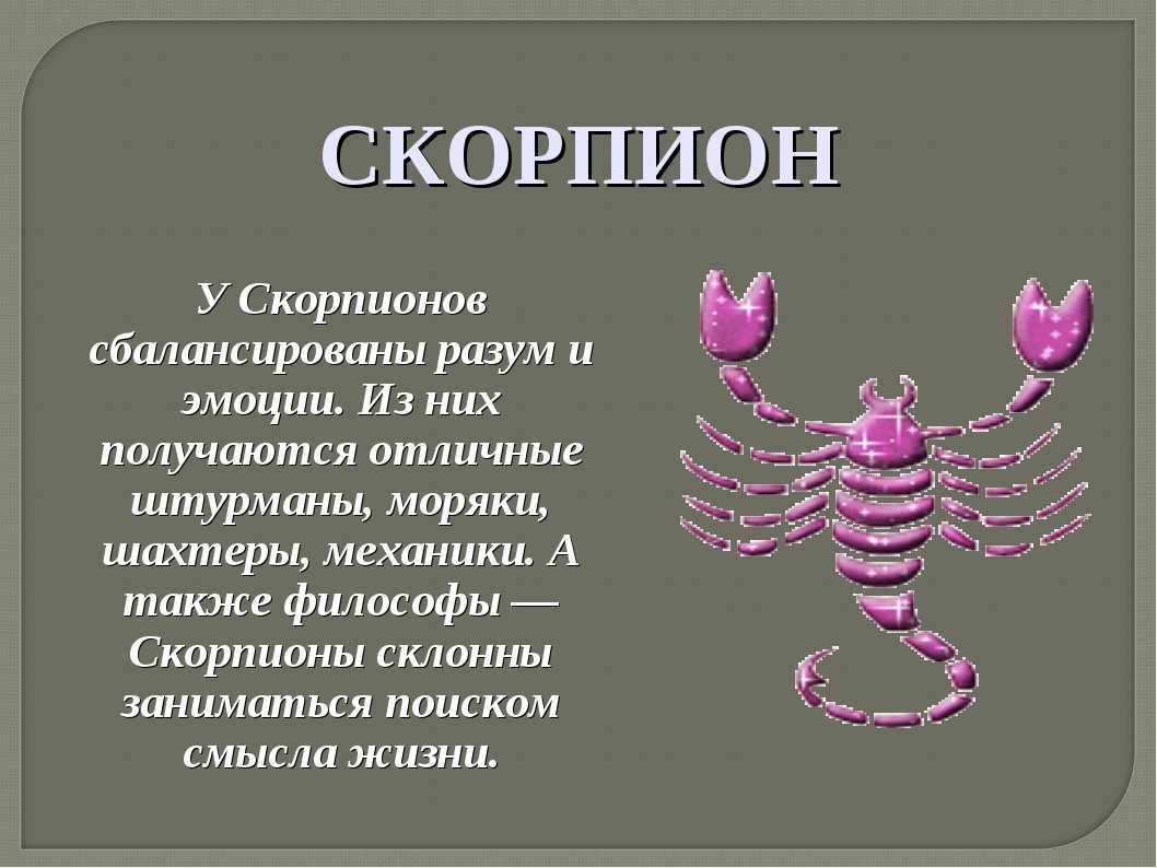 Скорпион: гороскоп на 2024 год