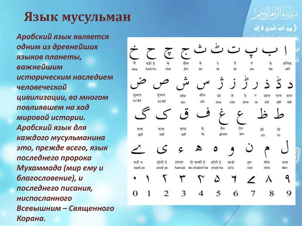 Чем отличается таджикский язык от персидского?