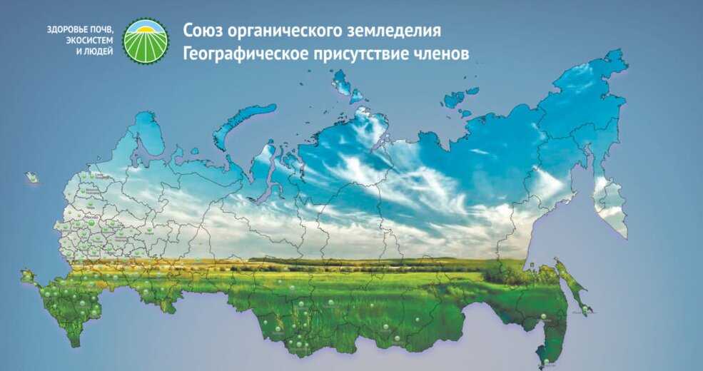 Почему закрывают магазины вкусвилл в спб: причины и последствия - просто и понятно