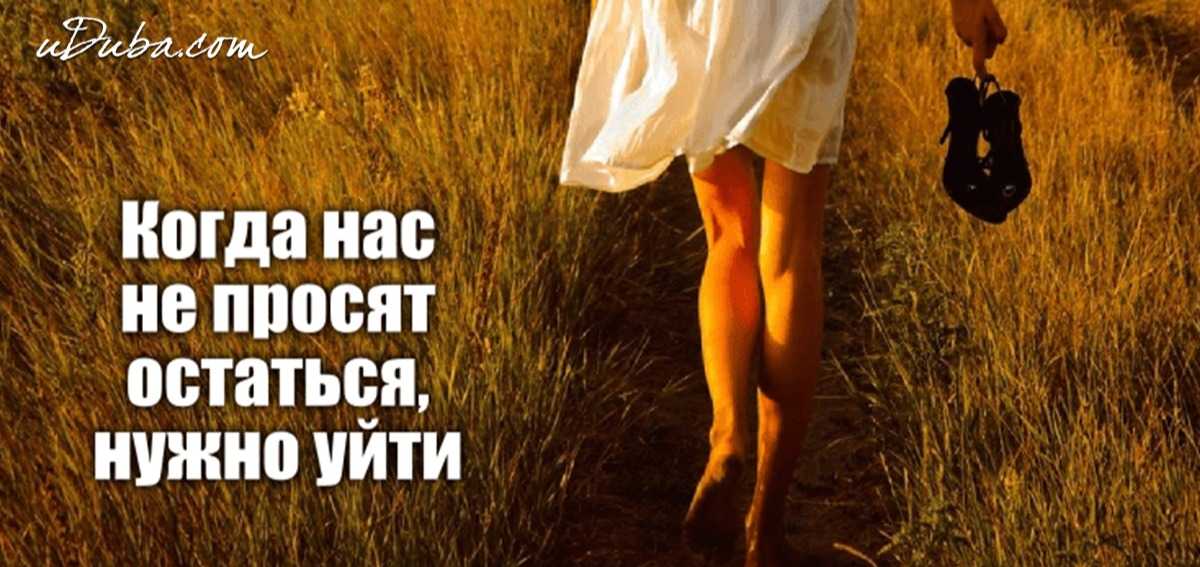Как потребитель принимает решение о покупке: факторы, влияющие на решение, и этапы покупки | calltouch.блог