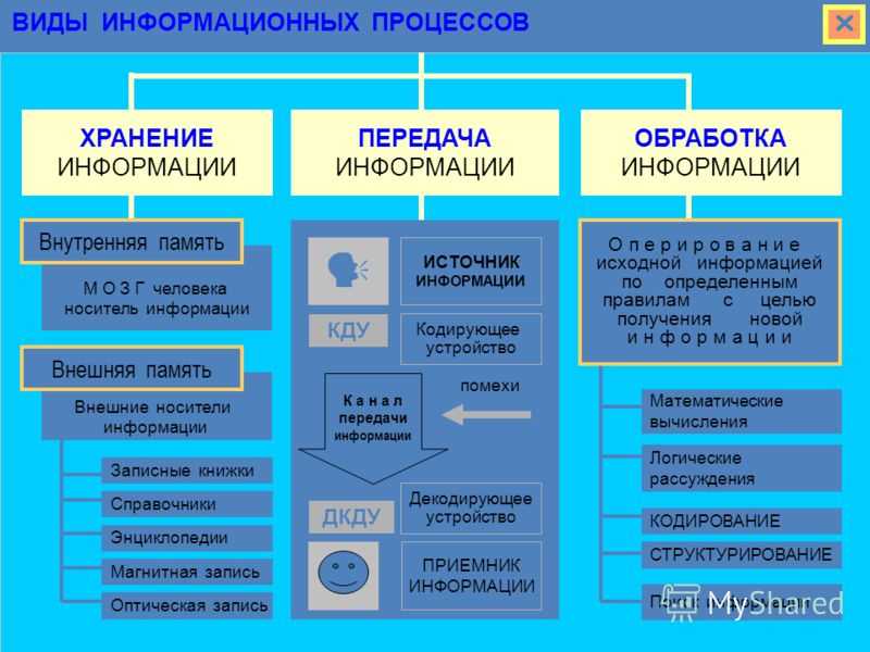 Нвчз принцип действия – tokzamer