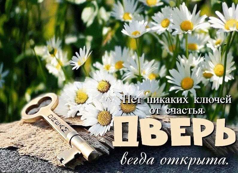 Сколько цветов дарят людям?