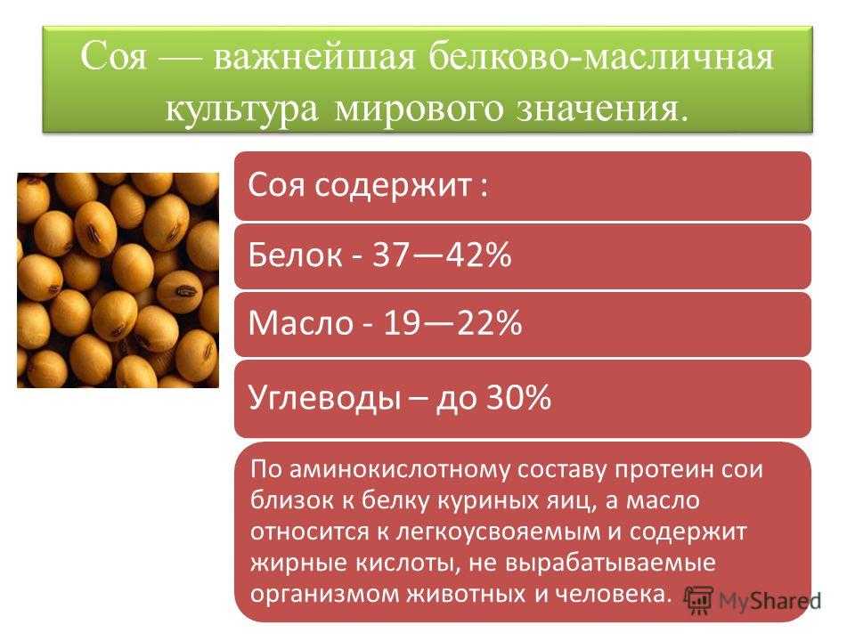 Соевые бобы: польза и вред, состав, свойства, кому показаны, советы