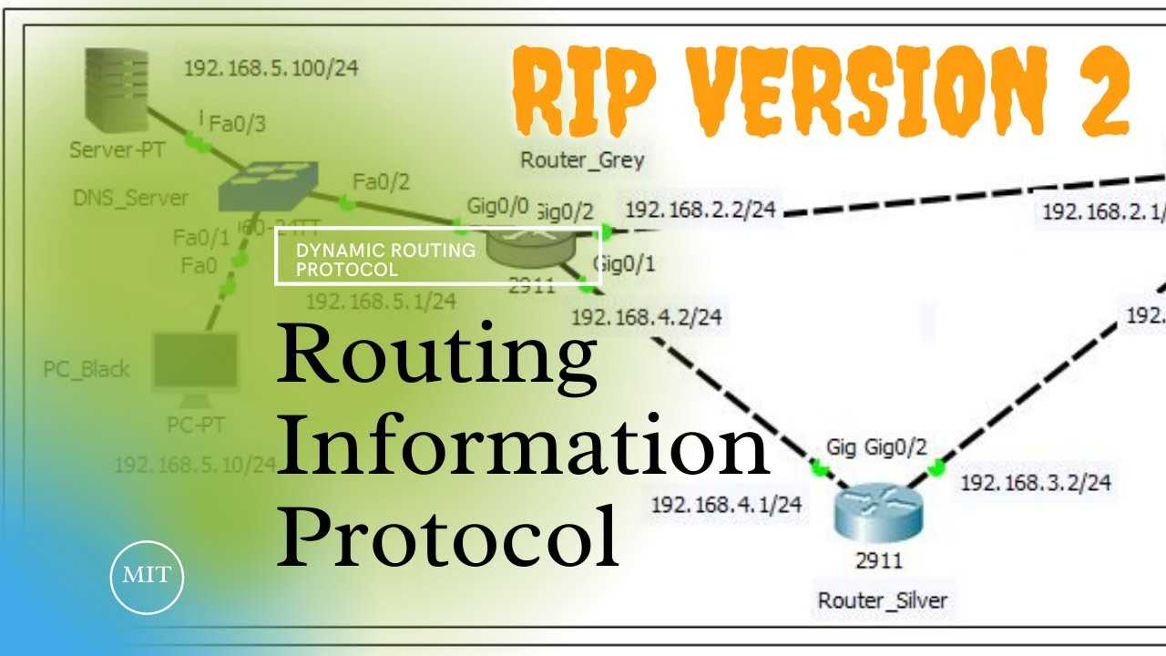 Основы маршрутизации: rip и ospf