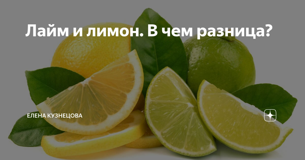 Бергамот: что это, вкус, аромат, полезные свойства
