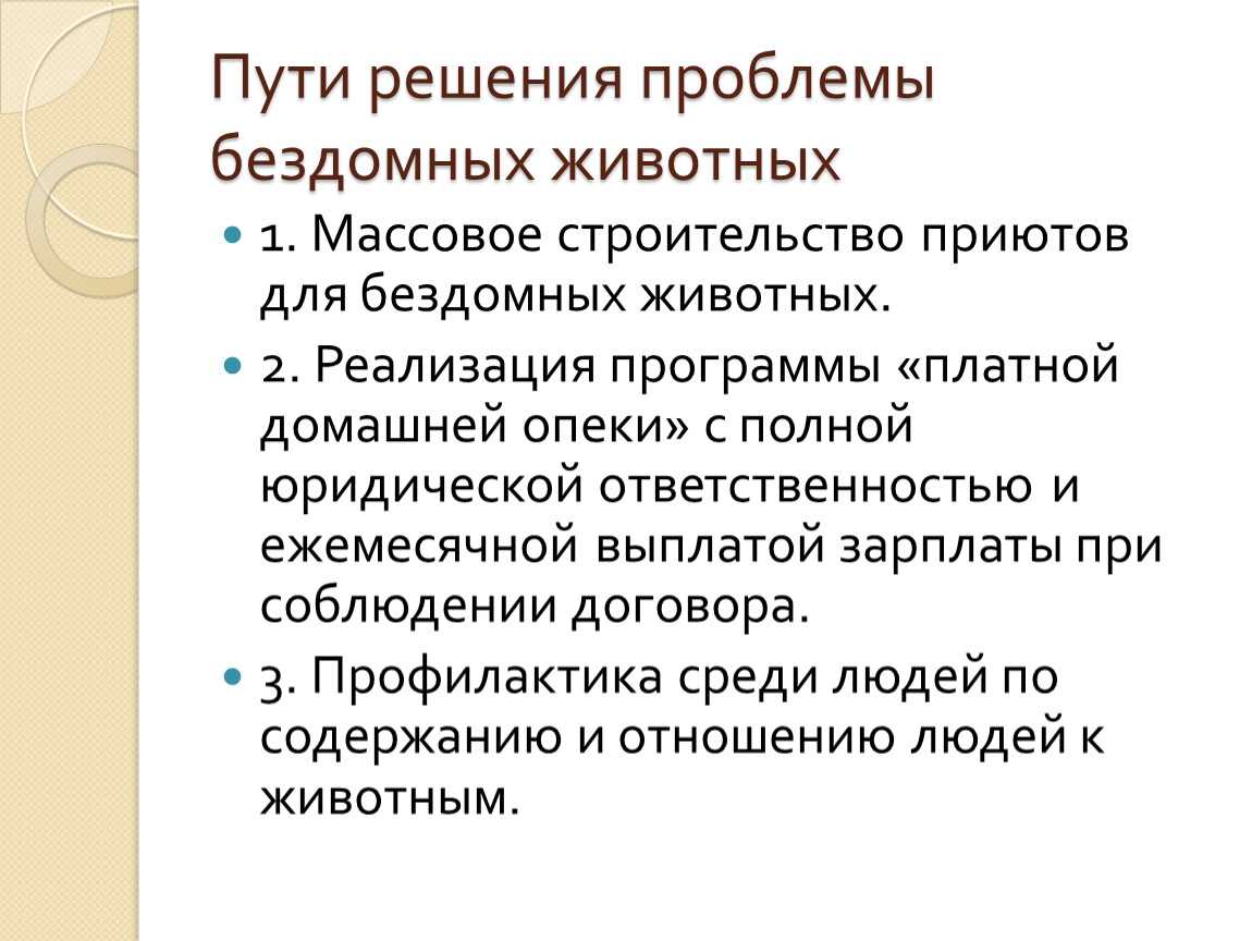 Сочинение на тему бездомные животные