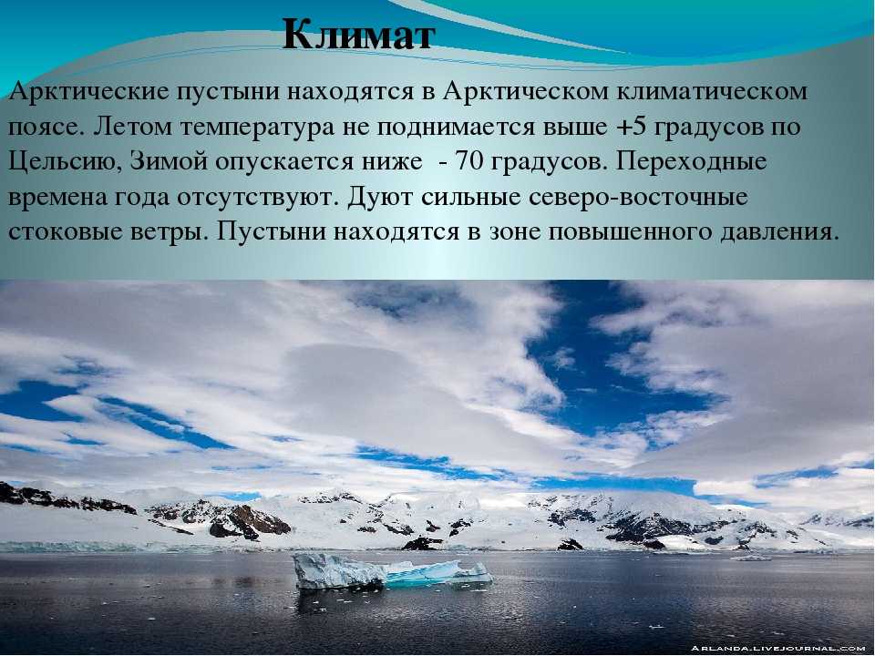 Чукотское море все о нем чем полезно