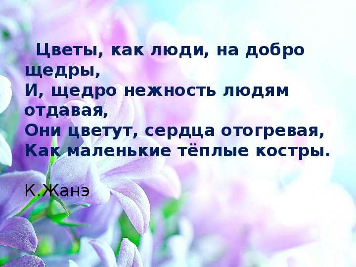 Какие домашние цветы приносят одиночество и как с этим бороться? - деловой английский
