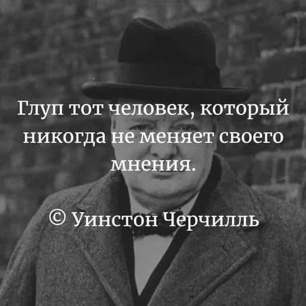 Значение слова «глупый»