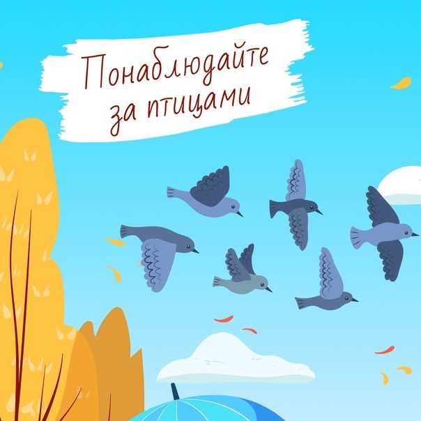 Чем отличается опора от столба