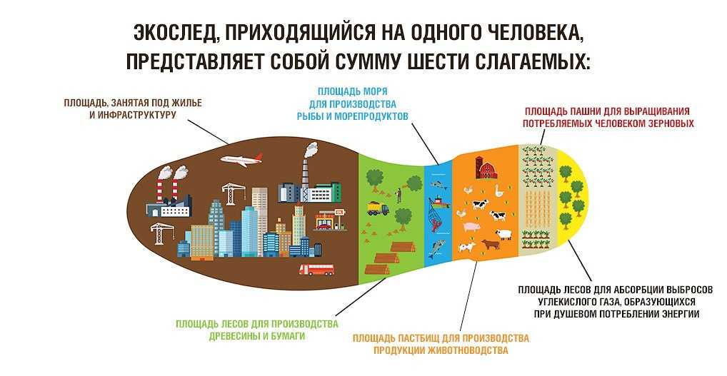 Проблема экологии 🌍8 современных мировых опасностей