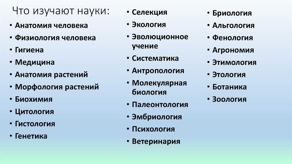 Науки, изучающие природу, или естественные науки — природа мира