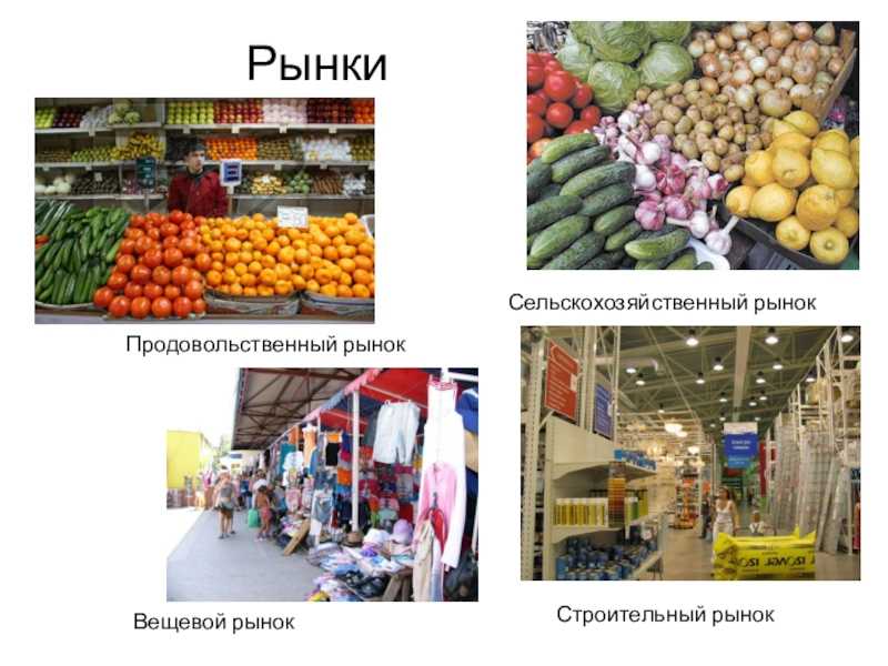 Что люди покупают каждый день: популярные покупки в повседневной жизни - coloringfile.com