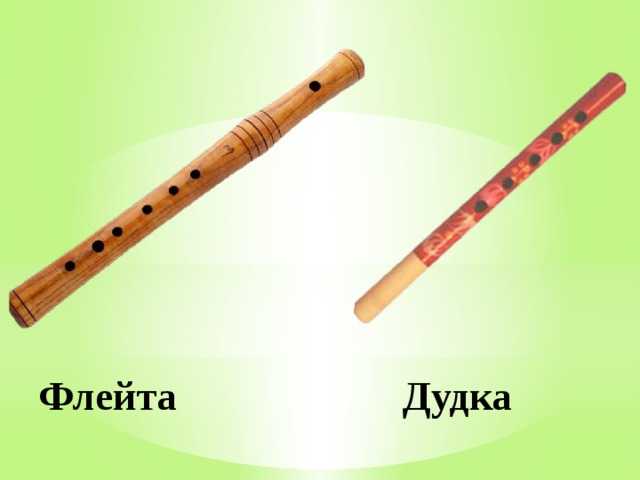 Инструменты с духовой механикой давно занимают почетное место в музыке Однако, между флейтой и дудкой существуют некоторые существенные отличия и нюансы,
