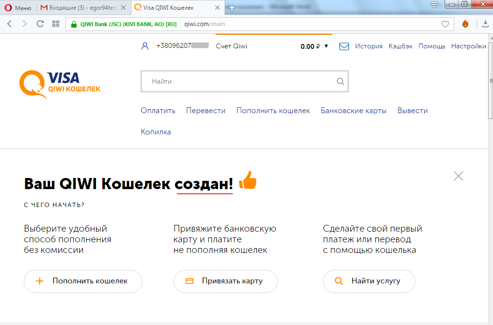 Как получить профессиональный статус в qiwi кошельке