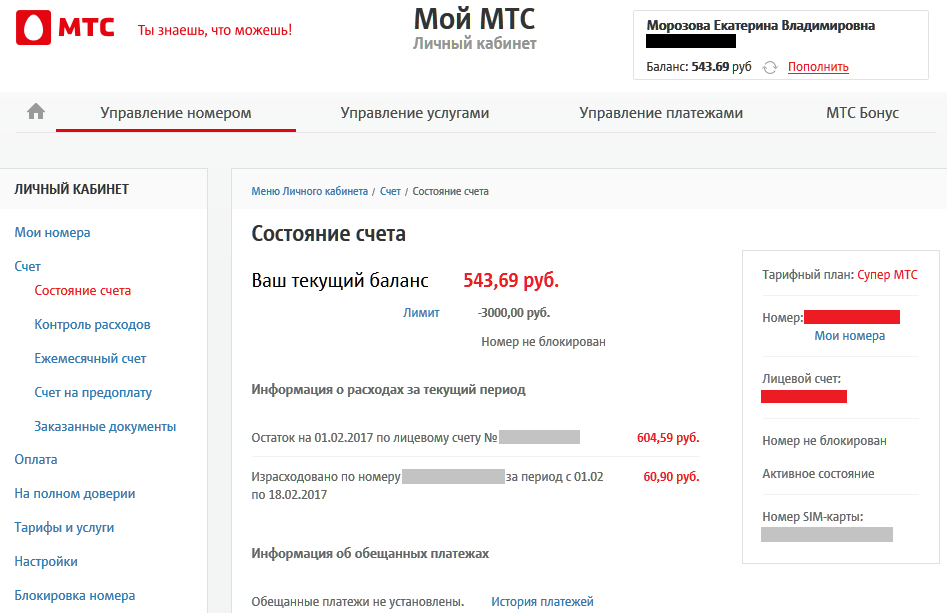 Удобно ли постоянно быть на связи кратко