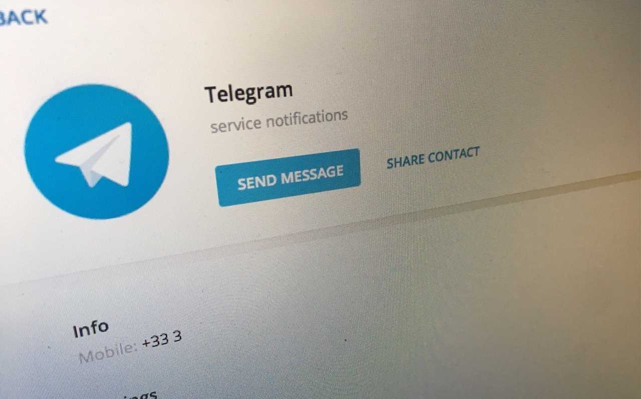 Почему telegram популярен? / skillbox media