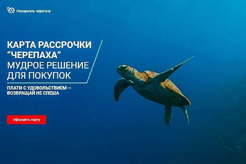 Карта черепаха втб как ее пополнить счет - wikijursovetnik.ru