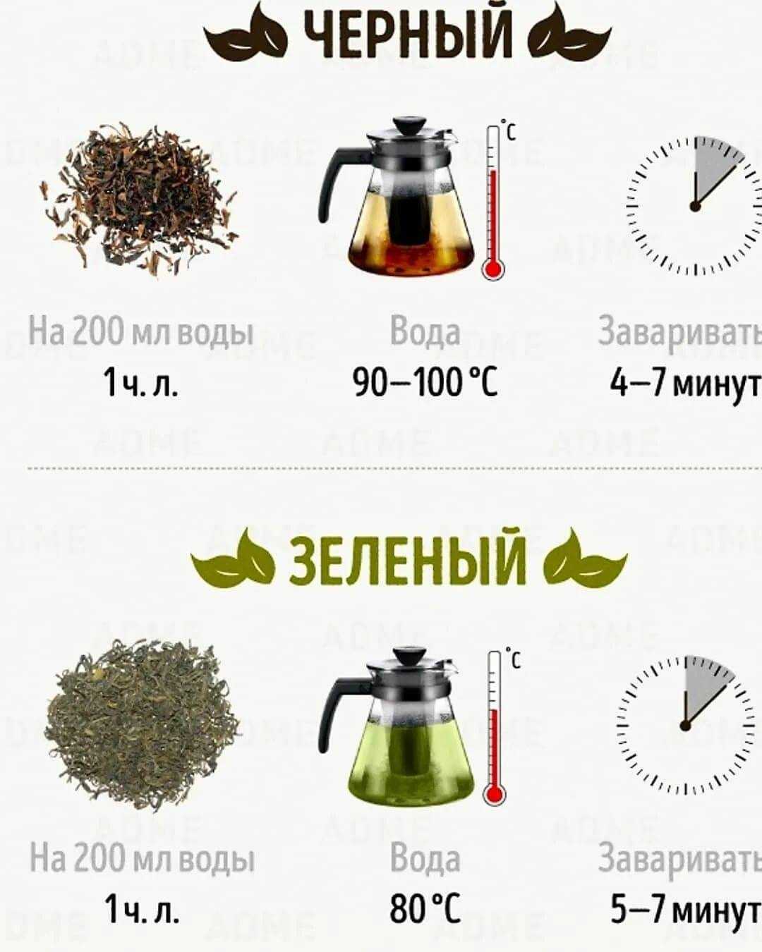 Как правильно заваривать чай: нюансы и советы