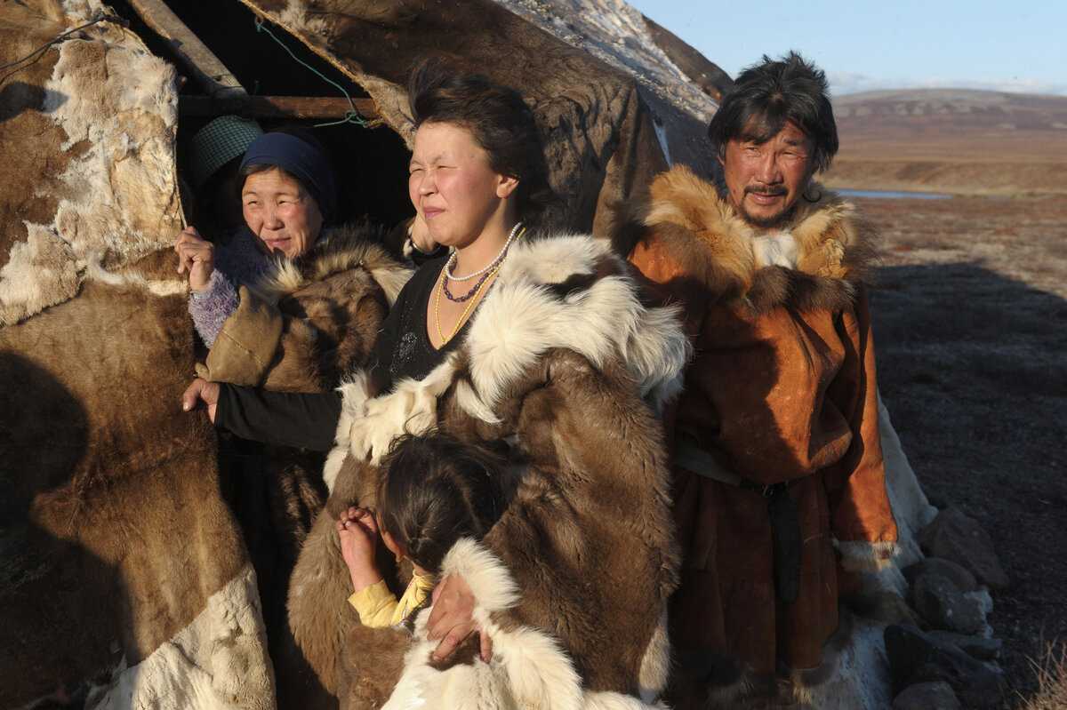 Ненцы, ханты и селькупы: быт и традиции коренных народов ямала | «красный север»