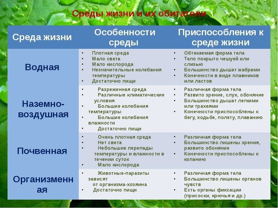 Жерех