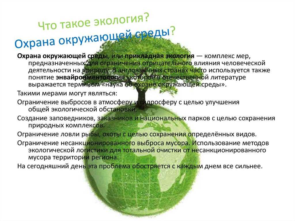 Проблемы экологического воспитания и образования и пути их решения