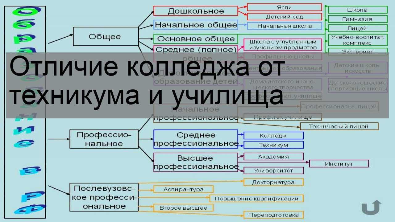 С какого класса лучше уйти: 9 или 11? плюсы и минусы выбора