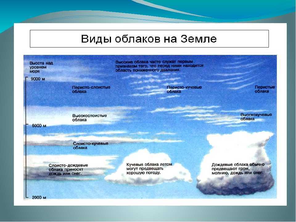 Какие бывают облака и как по ним предсказывать погоду. 10 основных типов облаков в зависимости от их высоты.