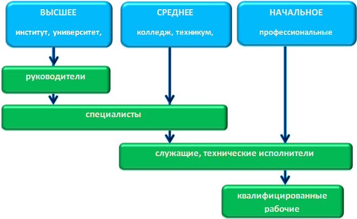 В чем отличия между вузом и ссузом: основные различия и перспективы