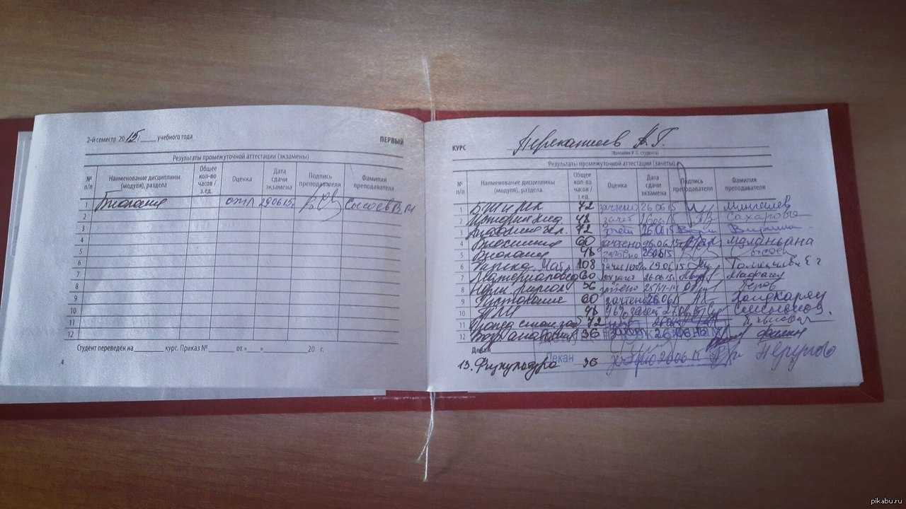 Работа или поступление: куда идти после колледжа