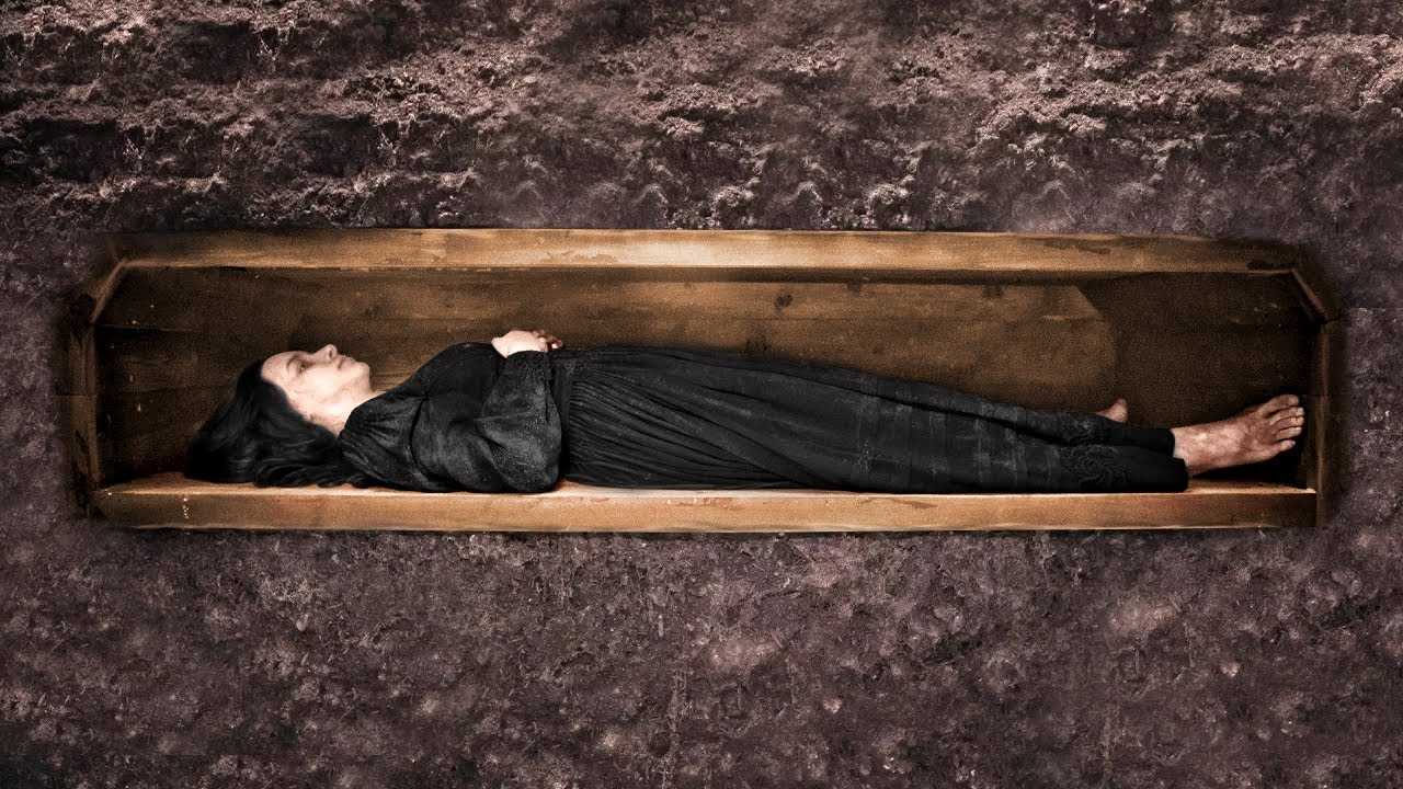 Майкл джексон жив! доказательства, которые шокируют мир в 2023 году