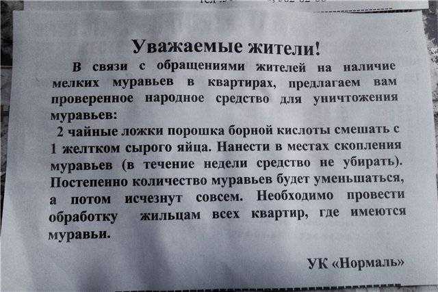 Все статьи про бизнес-идей 2023 — на yanline