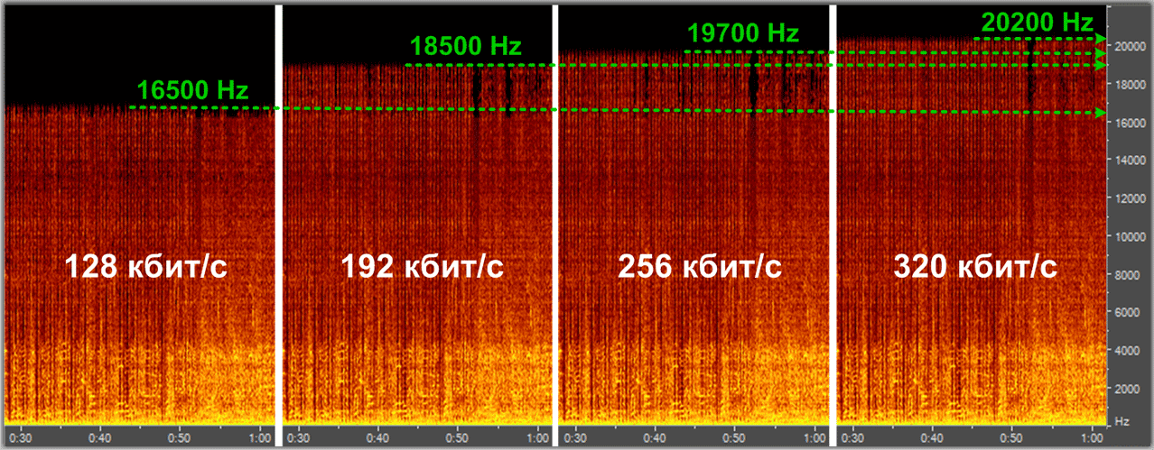 Аудиоформаты mp3 и flac: используем грамотно | блог дмитрия александрова