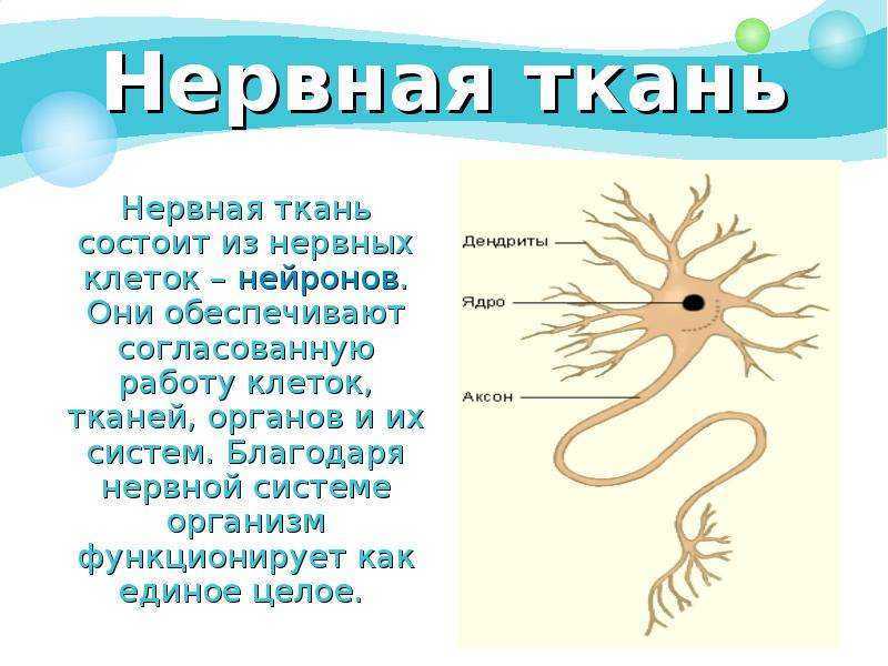 Ячмень на глазу
